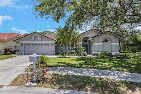 1119 Hounds RUN Safety Harbor, FL 34695