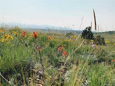 394 Lancelot Ln Hartsel, CO 80449