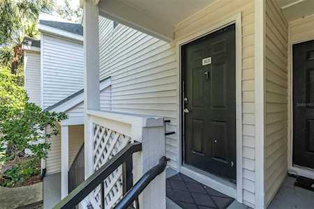 3266 Haviland Ct #303 Palm Harbor, FL 34684