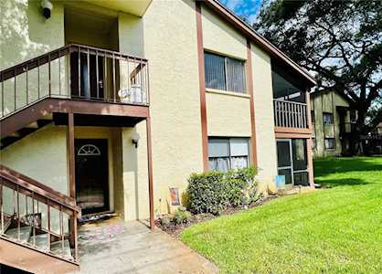 507 Longfellow Ct #B Safety Harbor, FL 34695