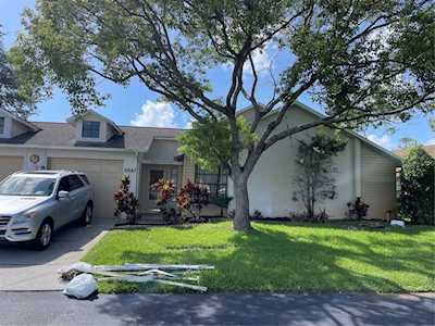 10643 Millriver Dr New Port Richey, FL 34654