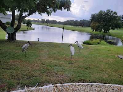 2115 W View Dr Sun City Center, FL 33573