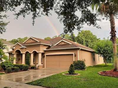 10504 Deerberry Dr Land O Lakes, FL 34638