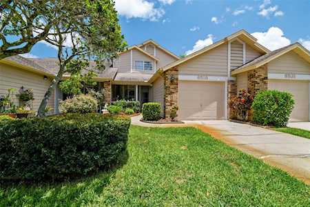 6519 Cabbage Ln New Port Richey, FL 34653