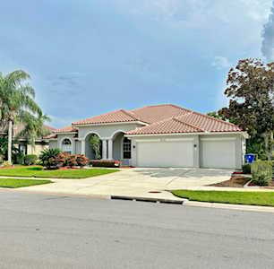 9616 Venturi Dr Trinity, FL 34655