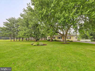 28495 Fire Tower Rd Laurel, DE 19956