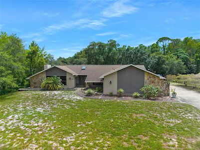 9620 Dantel Dr New Port Richey, FL 34654