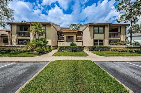 90 Woodlake PLACE #90 Oldsmar, FL 34677