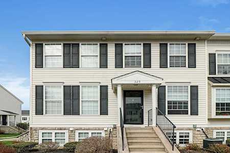 329 Shadbush Drive Blacklick, OH 43004