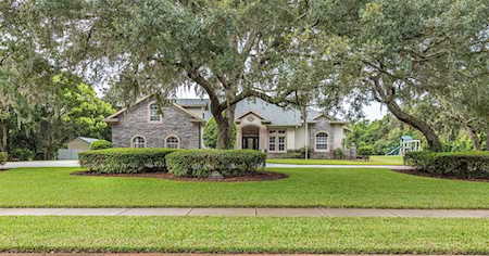 11248 Lakeview Dr New Port Richey, FL 34654