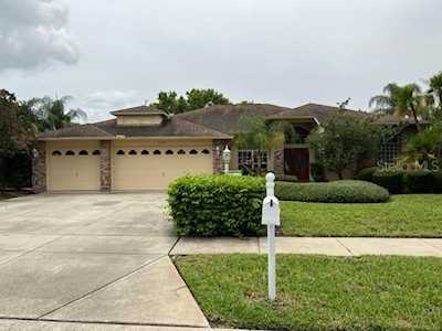 1339 Fallowfield Dr Trinity, FL 34655