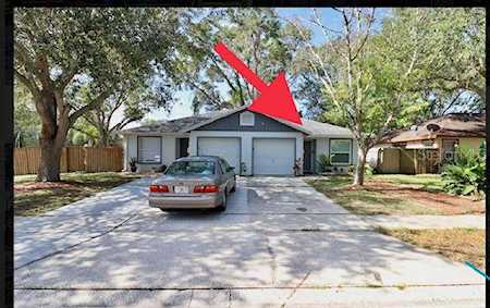 2696 Megan Ct Palm Harbor, FL 34684