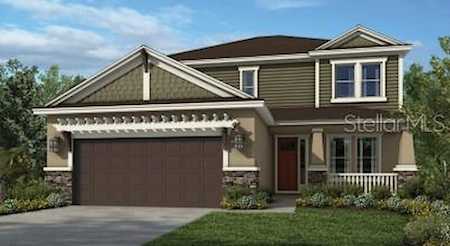 33805 Astoria CIRCLE Wesley Chapel, FL 33545
