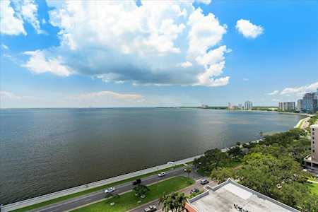 2413 Bayshore Blvd #1602 Tampa, FL 33629