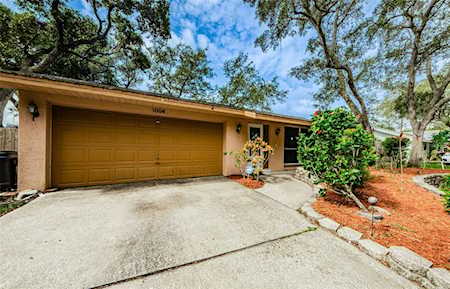 1004 Rosetree Ln Tarpon Springs, FL 34689