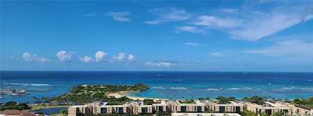 1391 Kapiolani Boulevard #2911 Honolulu, HI 96814