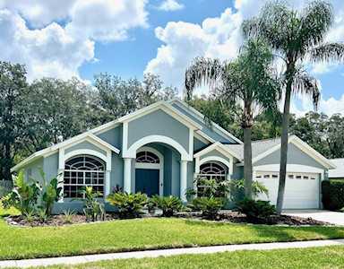 15029 Meadowlake St Odessa, FL 33556