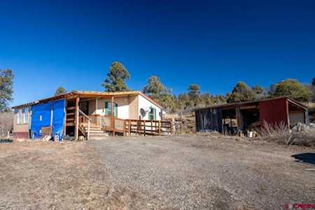 134 Apple Court Pagosa Springs, CO 81147
