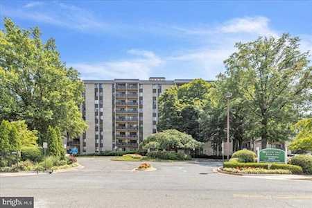 6001 Arlington Blvd #619 Falls Church, VA 22044
