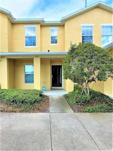 1975 Searay Shore Dr Clearwater, FL 33763