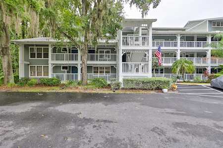2533 Dolly Bay Dr #208 Palm Harbor, FL 34684