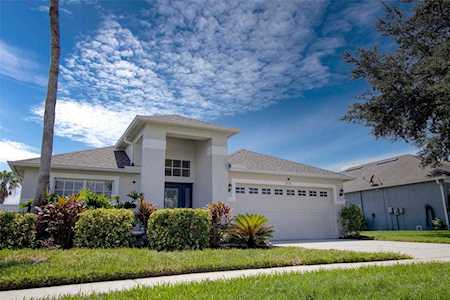1751 Sweetspire Dr Trinity, FL 34655