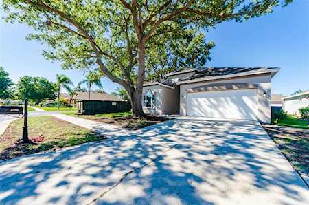 4380 Sawgrass Dr Palm Harbor, FL 34685
