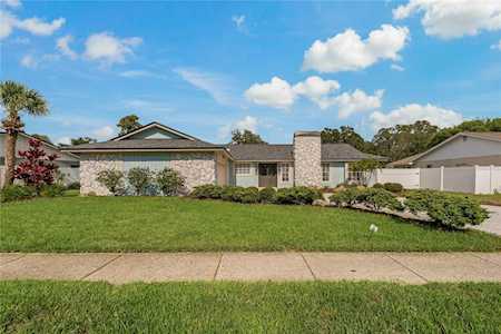 863 Rustic Oaks Dr Palm Harbor, FL 34684