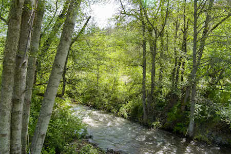 7696 Little Applegate Rd Jacksonville, OR 97530