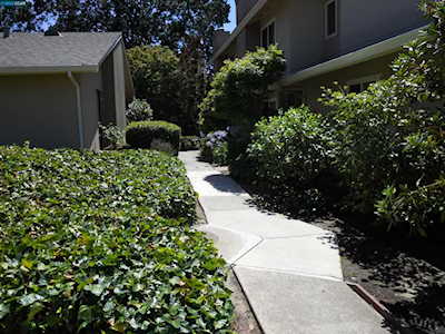 343 Westcliffe Circle Walnut Creek, CA 94597