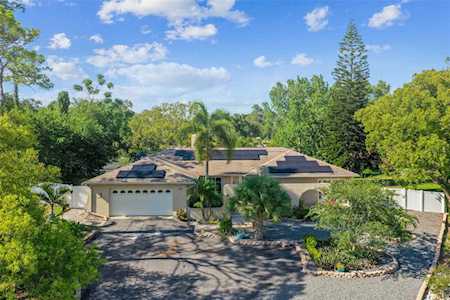40 Pinetree Ct Palm Harbor, FL 34683