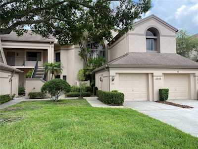 3044 Red Oak Ct #105 Palm Harbor, FL 34684