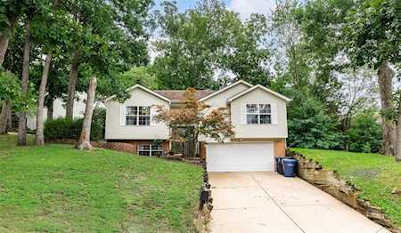 521 Oak Terrace Lake St Louis, MO 63367