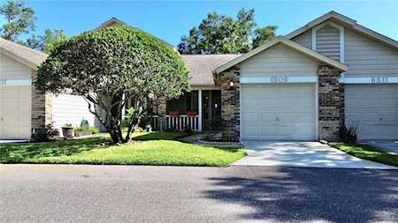 6509 Cabbage Ln New Port Richey, FL 34653