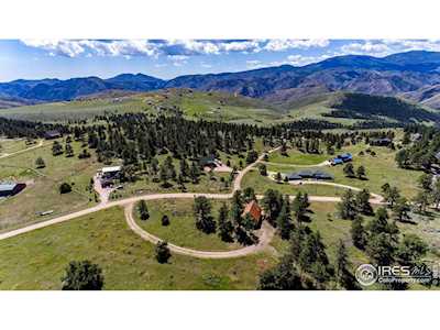 136 Arikaree Peak Dr Livermore, CO 80536