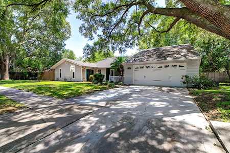 17704 Rivendel Rd Lutz, FL 33549