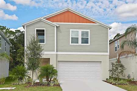 34118 Scarlet Sage Ct Wesley Chapel, FL 33545