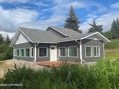 67268 Endless View Loop Homer, AK 99603