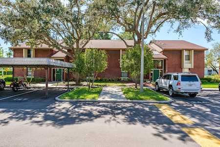 149 Caryl WAY #29 Oldsmar, FL 34677