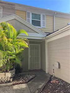6155 Oak Cluster CIRCLE Tampa, FL 33634