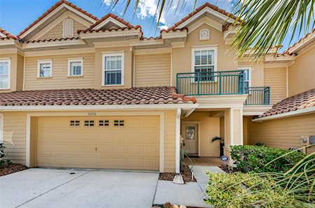 2650 Tanglewood Trl Palm Harbor, FL 34685