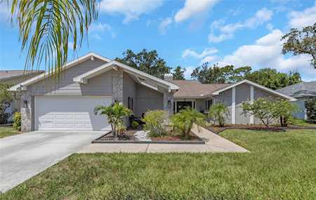 5823 Fall River Dr New Port Richey, FL 34655