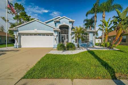 1720 Sweetspire Dr Trinity, FL 34655