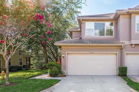 1642 Fieldfare Ct Dunedin, FL 34698