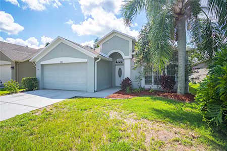 10512 Peppergrass Ct Trinity, FL 34655