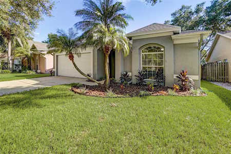 11201 Bramblebrush St Tampa, FL 33624