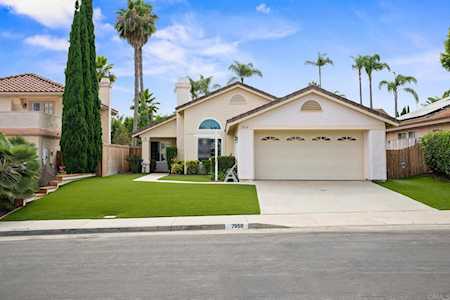 7959 Camino Gato Carlsbad, CA 92009