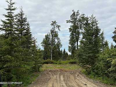 L1 B2 Twilight St Ninilchik, AK 99639