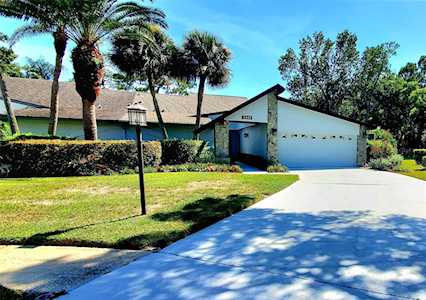 3542 Tanglewood Trl Palm Harbor, FL 34685