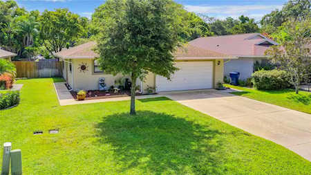 4216 Redleaf Dr New Port Richey, FL 34652